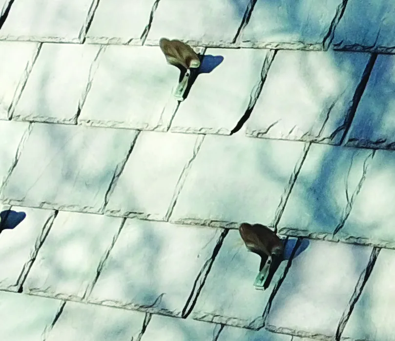 Cast snow guards fixed between the courses of a gray slate roof